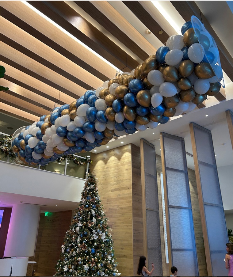 Corporate Summit Balloon Drop Ceiling Net Rigging